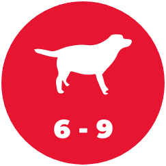 sobrepeso-icon